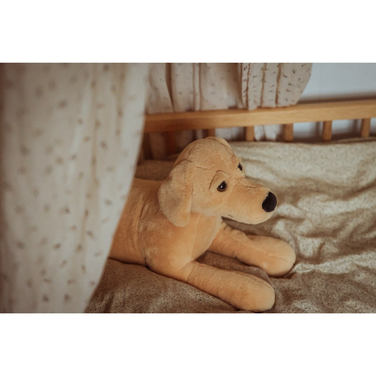by Astrup Tyngdedyr, Hund, 2,2 Kg.