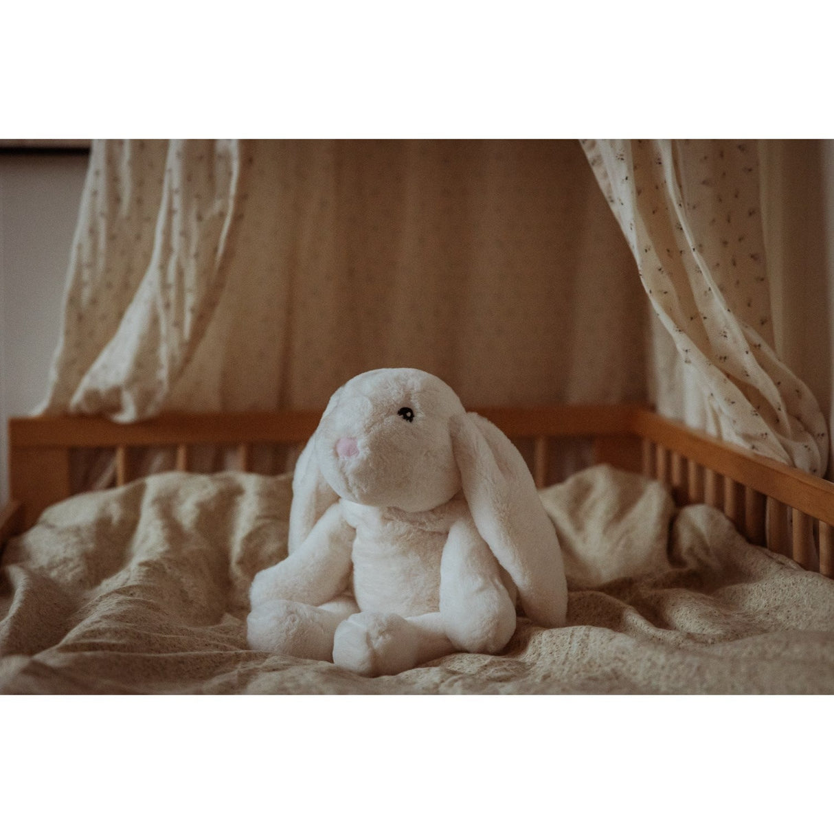 by Astrup Tyngdedyr, Kanin, 1,2 Kg.