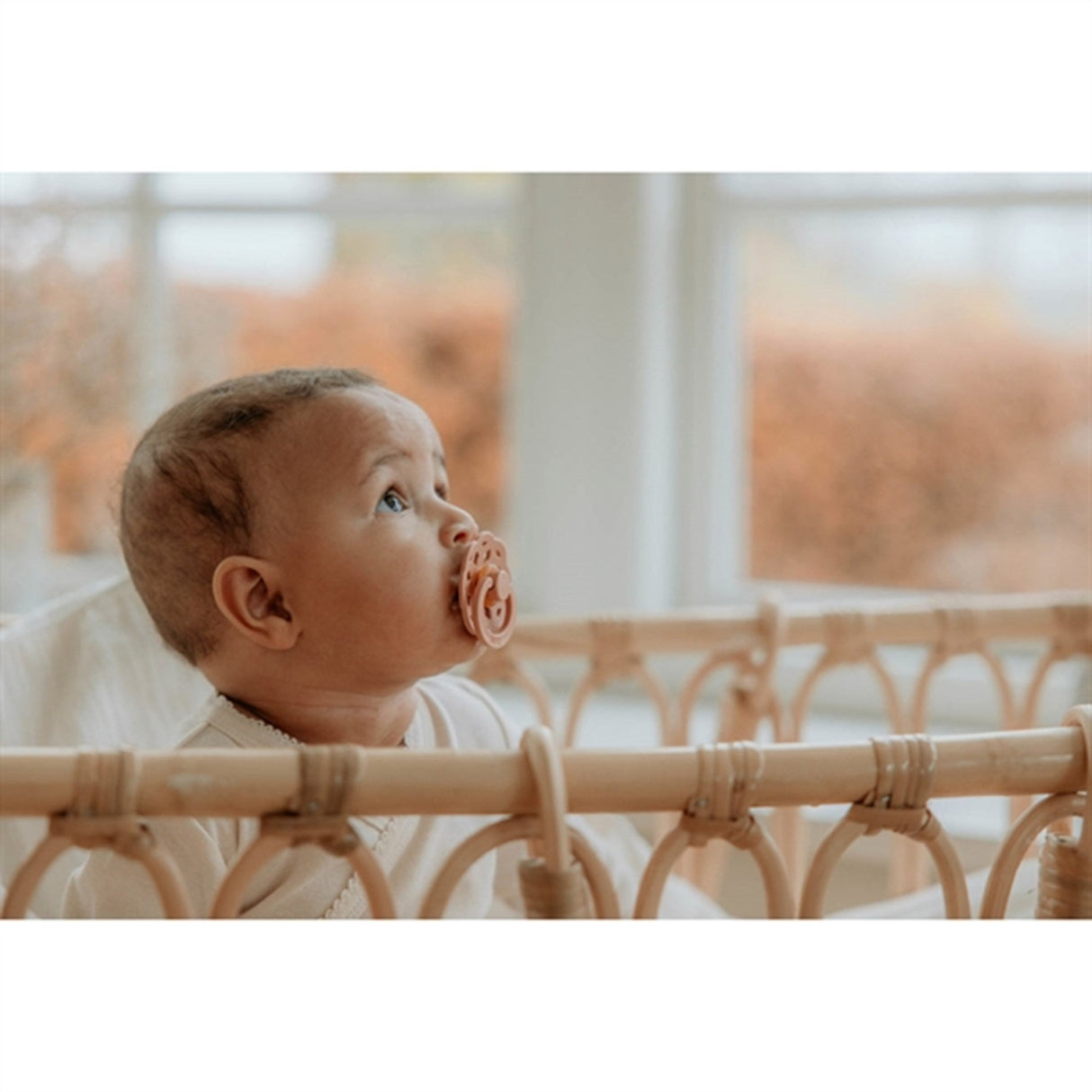 Bibs Boheme Latex Sutter 2-pak Woodchuck/Blush