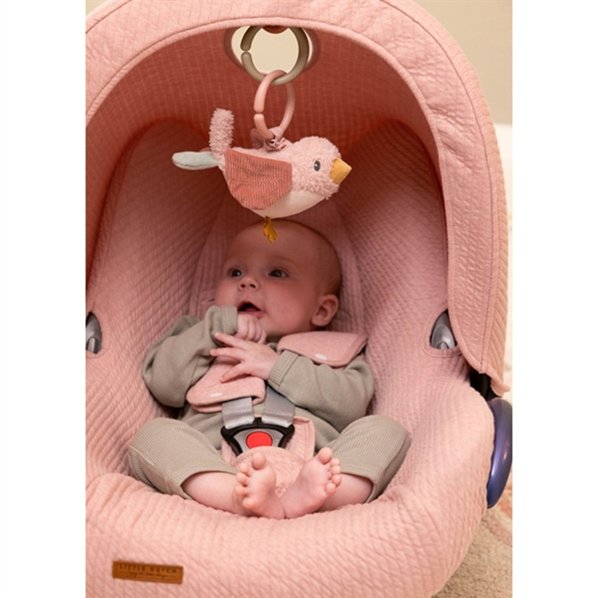 Little Dutch Flowers & Butterflies Pull - And - Shake