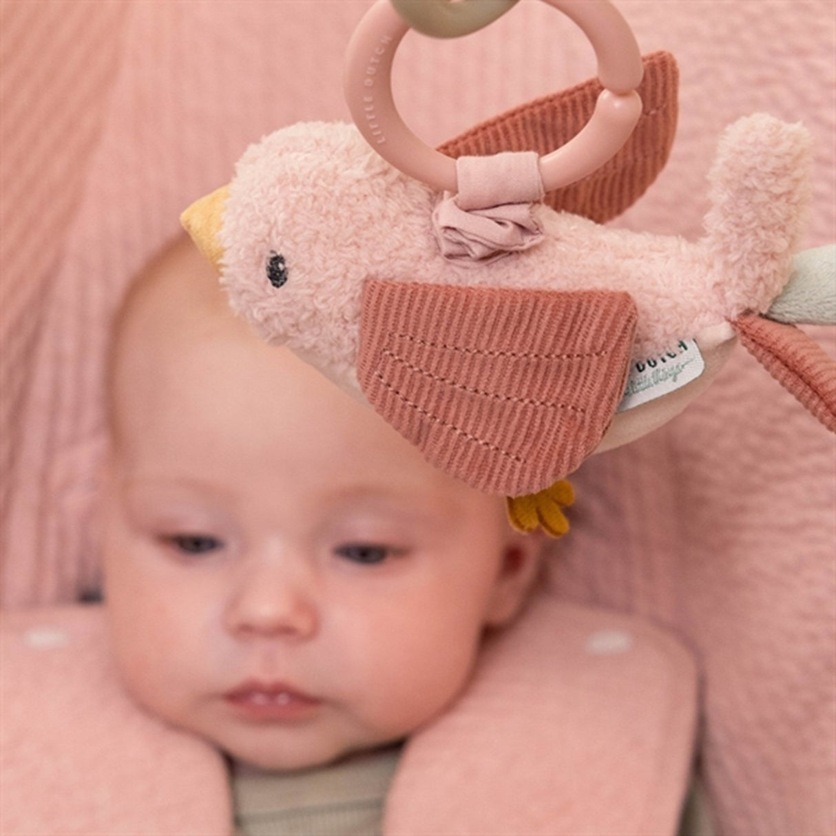 Little Dutch Flowers & Butterflies Pull - And - Shake