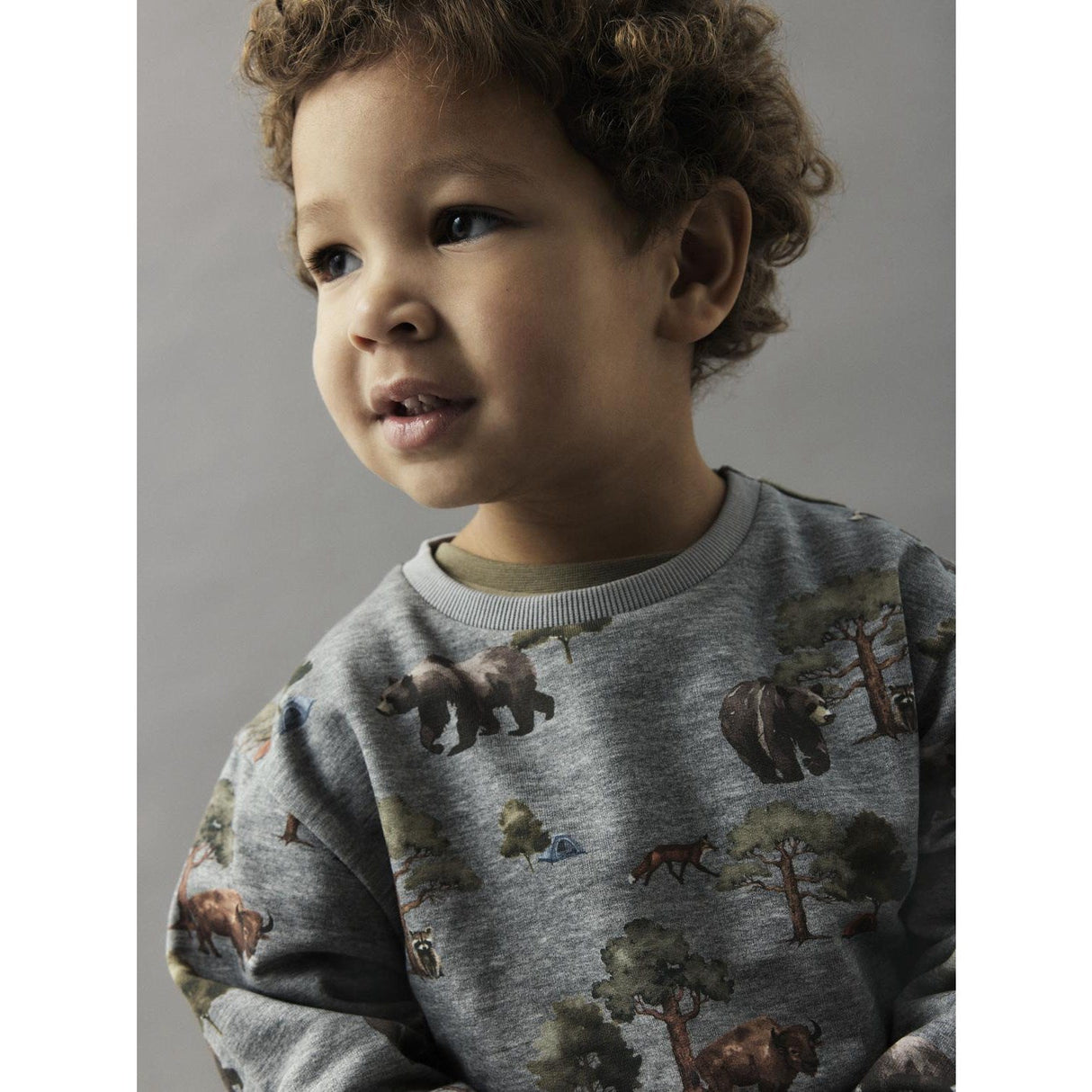 Name It Grey Melange Nmmolin Ls Nreg Sweat Bru Box