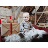 Hust & Claire Biscuit Gordon Check