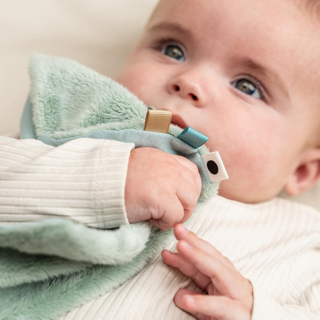 DonebyDeer Elphee Blue Nusseklud