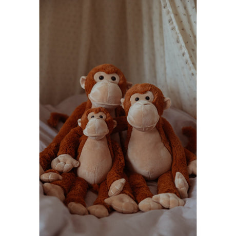 by Astrup Tyngdedyr, Abe, 0,5 Kg.