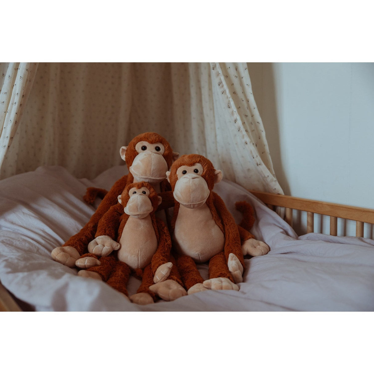 by Astrup Tyngdedyr, Abe, 0,5 Kg.