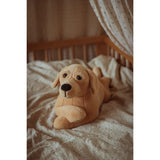 by Astrup Tyngdedyr, Hund, 2,2 Kg.