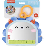 Fisher-Price® Nyfødt 2-i-1 Spejl