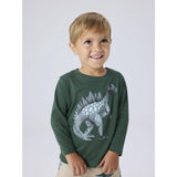 Name It Sycamore Nmmnedin Ls Nreg Top Box Pb