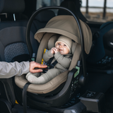 Thule Maple Connect Sort