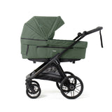 Emmaljunga Big Star Sento