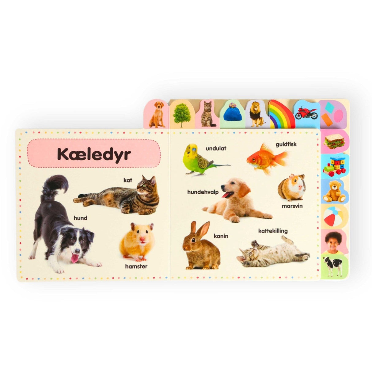 Bolden Lær De Første 100 Ord