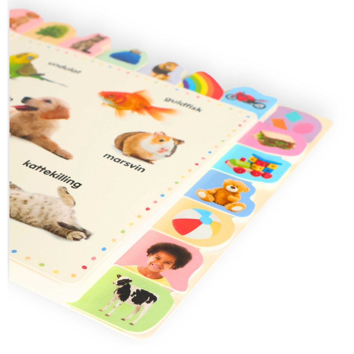 Bolden Lær De Første 100 Ord