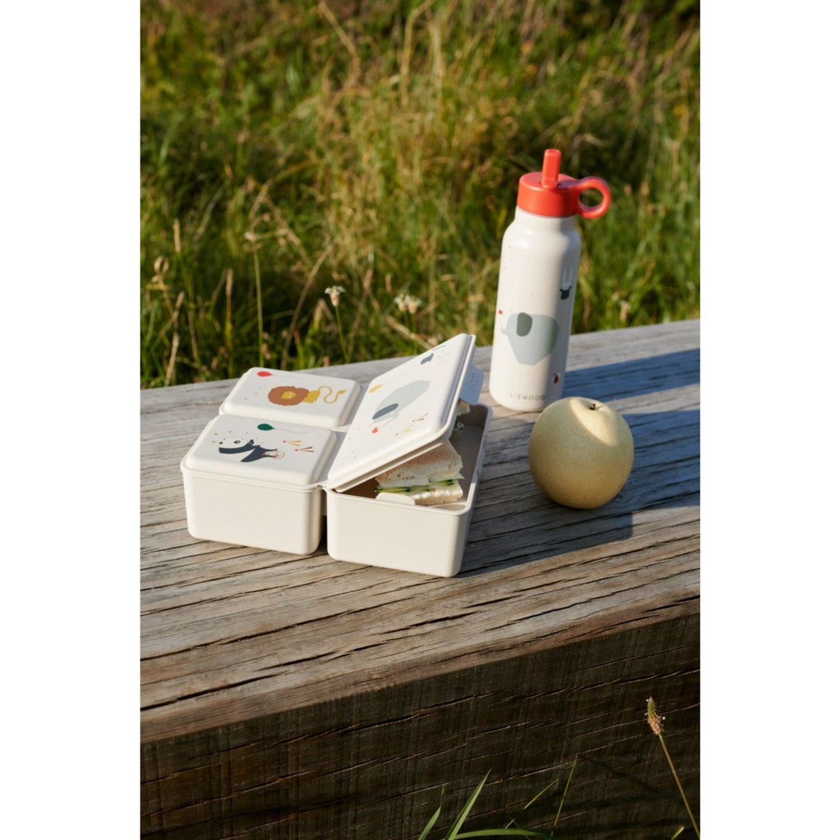 LIEWOOD Circus / Sandy Driss Madkasse