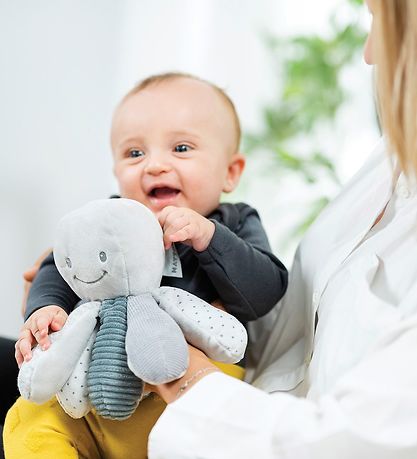 Nattou grå aktivitetsblæksprutte