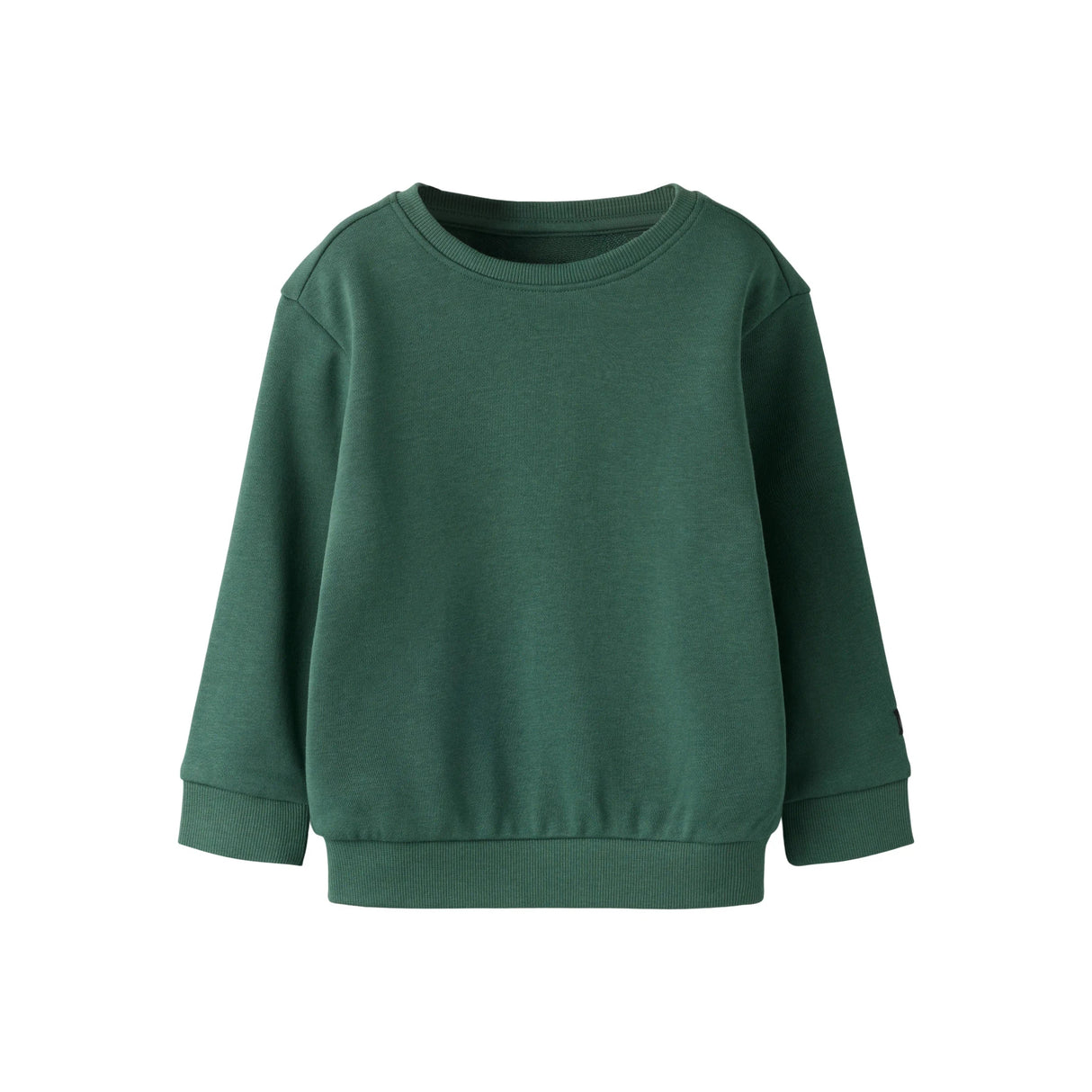 NAME IT Sweatshirt Franco Garden Topiary
