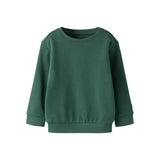 NAME IT Sweatshirt Franco Garden Topiary