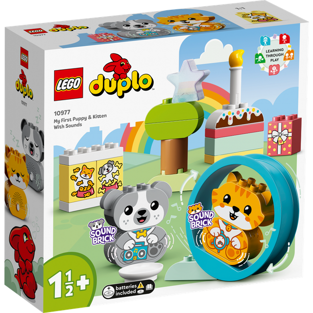 Duplo - min første hvalp og Kylling